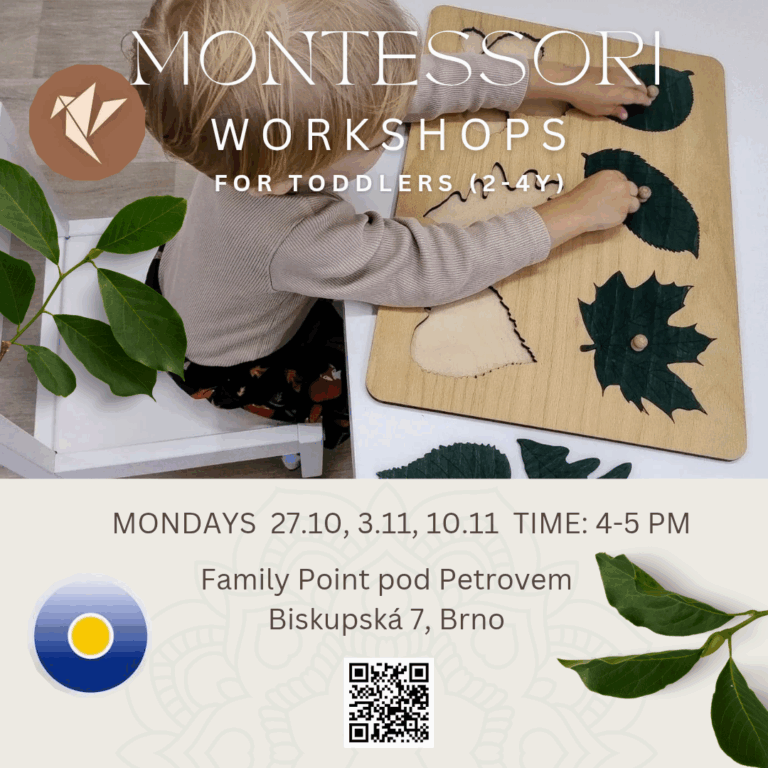 Montessori workshop