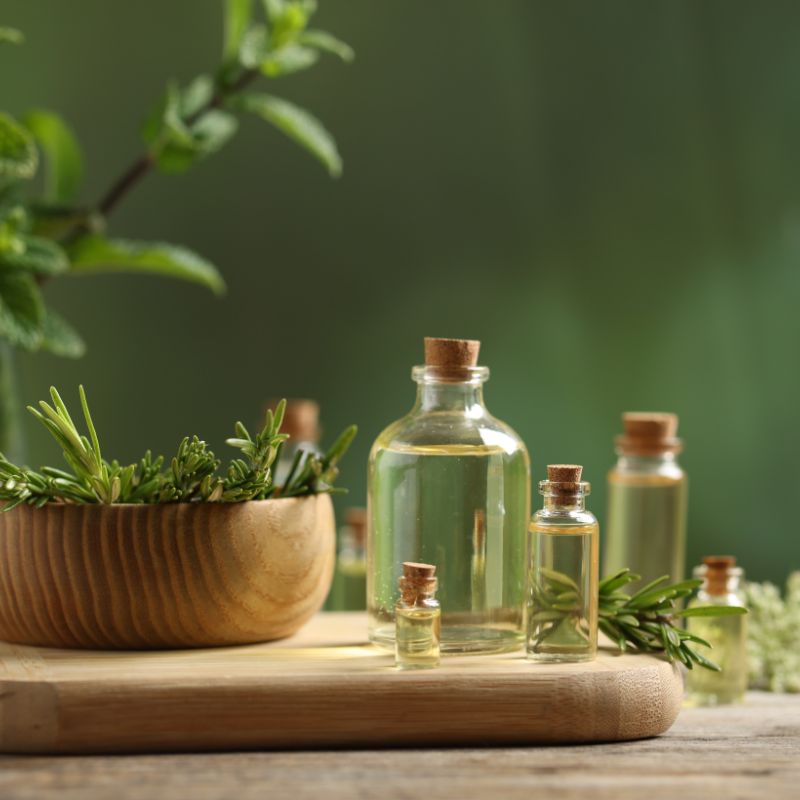 bylinková lékárna